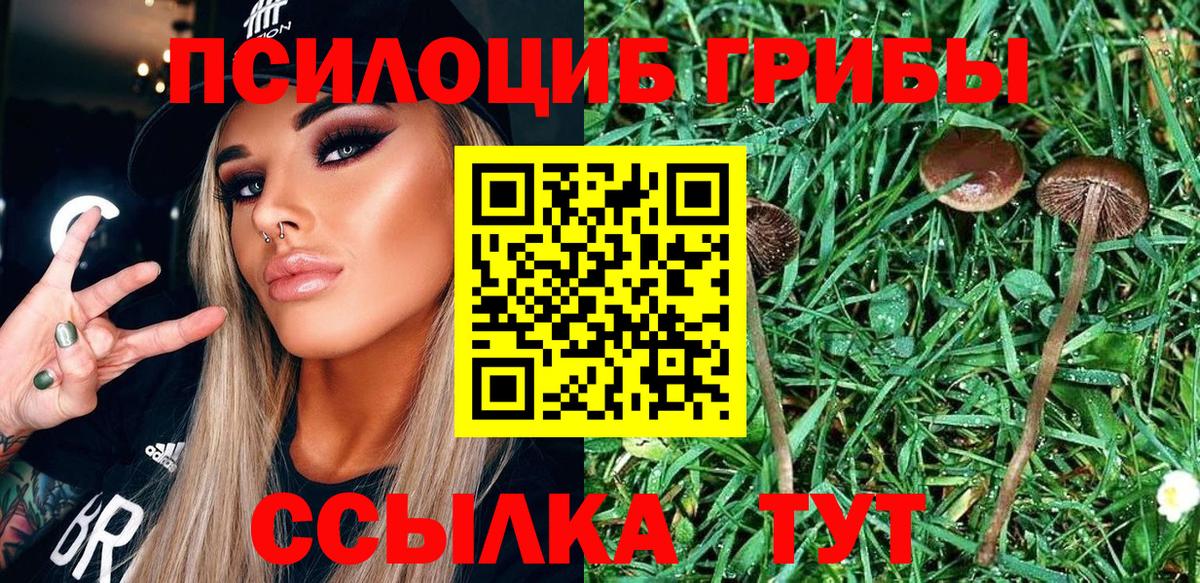 Псилоцибиновые грибы GOLDEN TEACHER Егорьевск