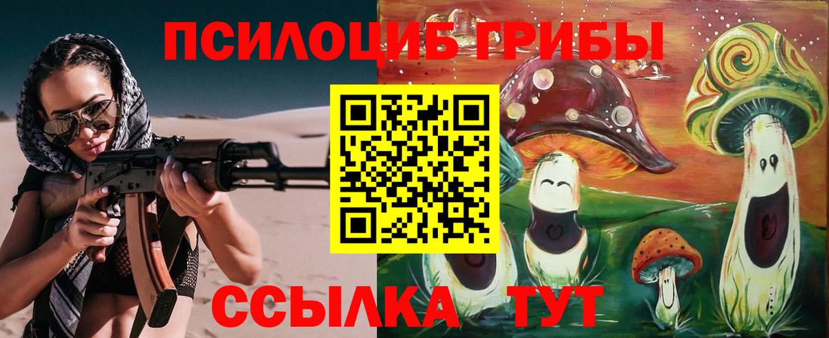 Егорьевск  Псилоцибиновые грибы ЛСД  наркошоп  Вход с VPN 